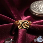 Load image into Gallery viewer, 18K Gold Filled Iconic Ring