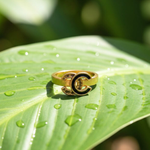Load image into Gallery viewer, 18K Gold Filled Iconic Ring