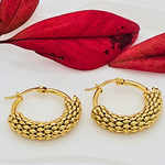 Load image into Gallery viewer, 18K Gold Filled Hoop Earrings
