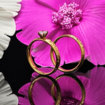 Load image into Gallery viewer, 14K Gold Hawaiian Twin Ring